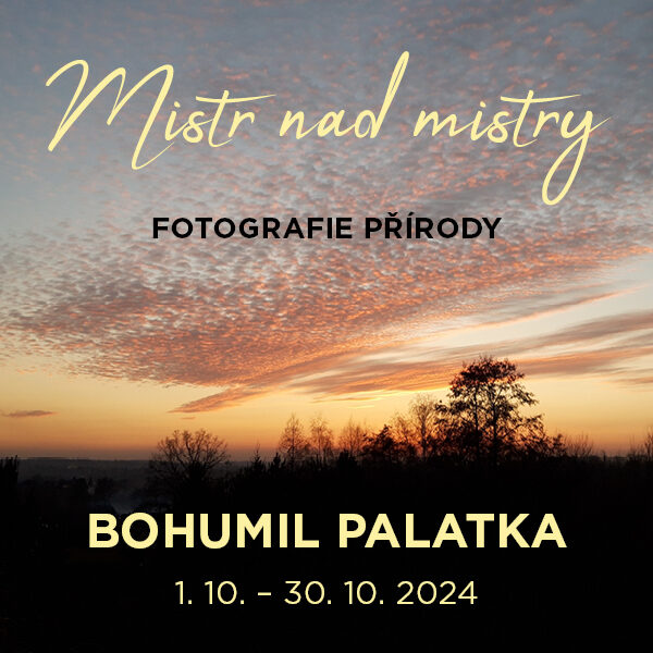 Mistr nad mistry – fotografie přírody B. Palatka