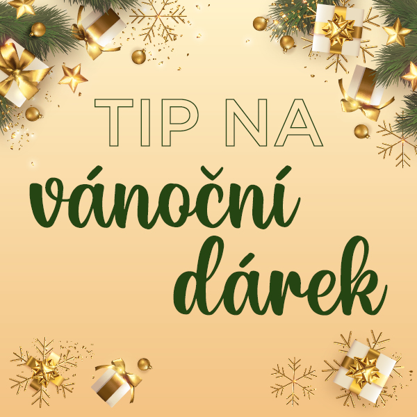 Plakát <B>TIP na vánoční dárek